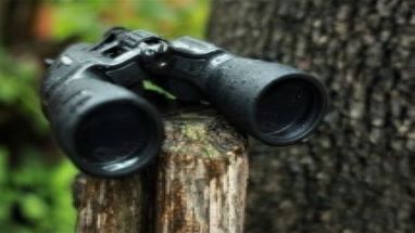 10-22x50 osprey Global Binoculars In Woods